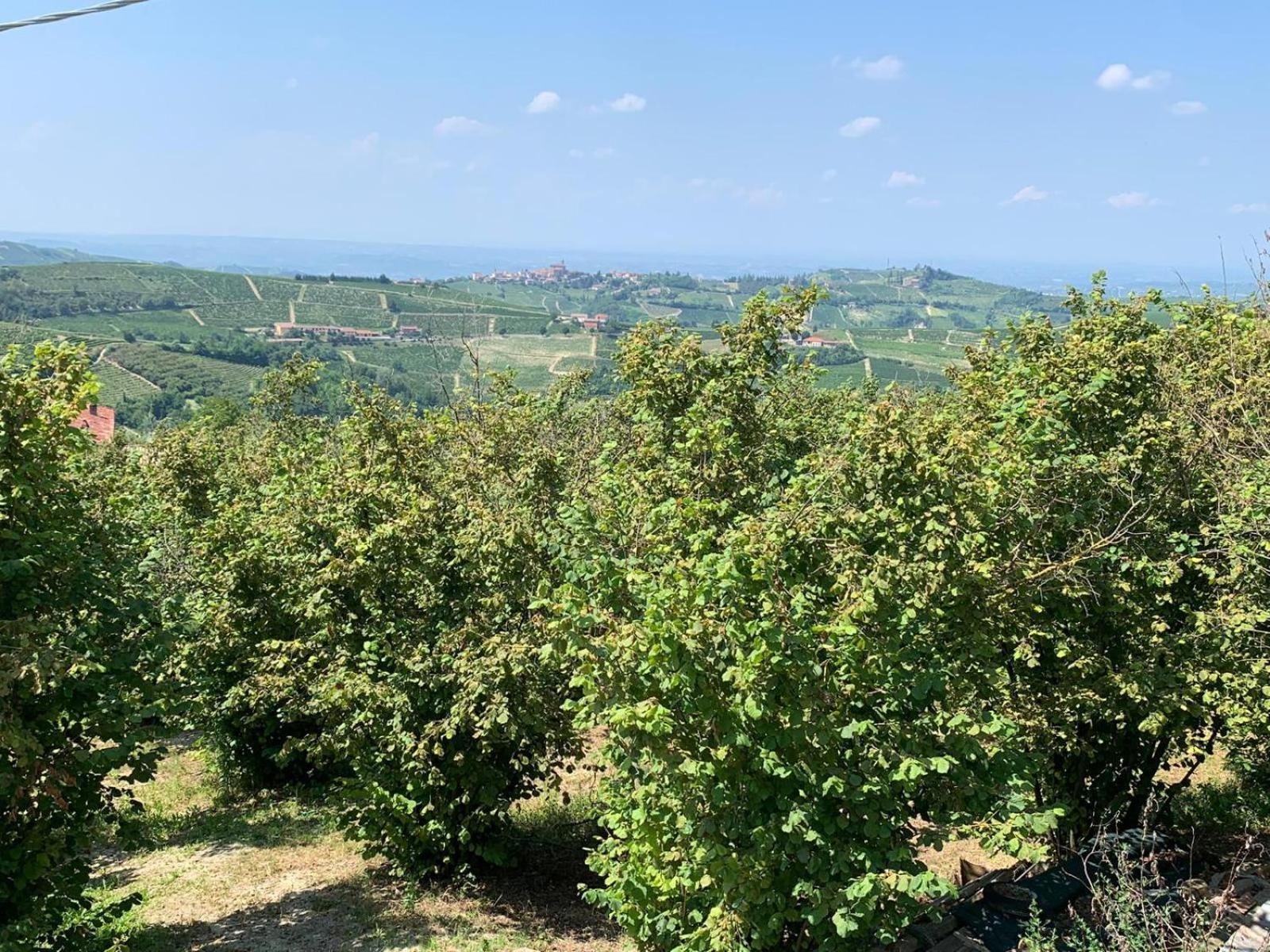 Agriturismo Cascina Anri Манго Экстерьер фото