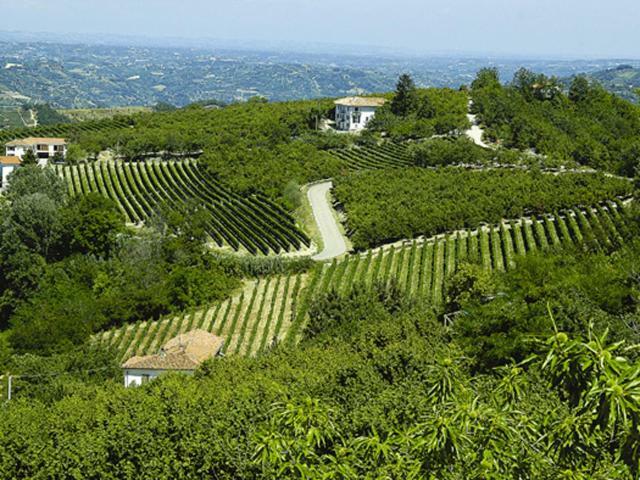 Agriturismo Cascina Anri Манго Экстерьер фото